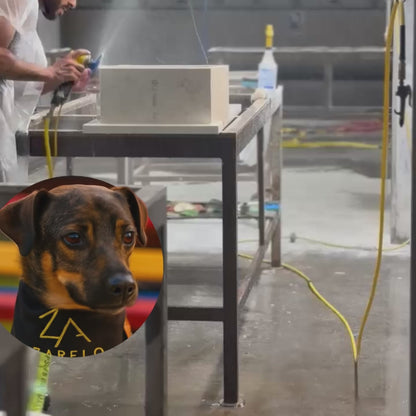 Lysa Collection - Quartz Pet Feeder